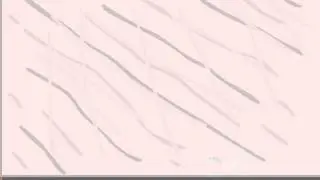 First Flash Animation!