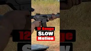 Jaw-Dropping Slow Motion: Gforce Arms GF25 AR 12 Gauge Shotgun