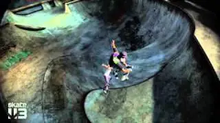 co op in skate 3