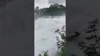 Rheinfall🇨🇭 #rheinfall #energieplatz #schweiz #reinigung #kl&auml;rung