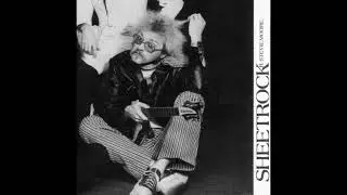R. Stevie Moore - Sheetrock (1978) FULL ALBUM
