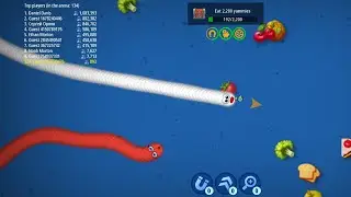 worms Zone LIVE Gameplay 🔴