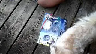 Unboxing blast Jinnius J3 and QR code