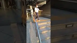 Smart ginger street cat 😸 waiting at subway station exit 🐈 for handouts 🐾 #cats #meow #catvideo