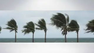 Mold Testing in Miami FL - Florida Inspections Unlimited