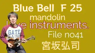 We Love instruments  File 41 宮坂浩司　Blue Bell F 25   #mandolin  #bluebell