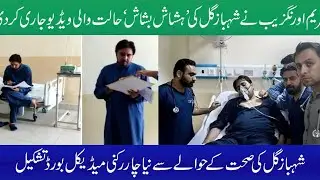Maryam Aurangzeb released a video of Shehbaz Gul's 'Hishash Bishash' condition