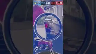 Nerf jackal