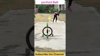 Perfect Yorker Ball #cricket #bowler #yorker #bcci #icc
