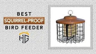 ▶️Bird Feeders: Top 5 Best Squirrel Proof Bird Feeders in 2021 - [ Buying Guide ]