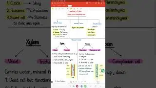 Plant physiology ( part 1) EST2 ,ACT2  Dr/ Rania Mohammed