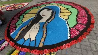 Dywany kwiatowe/ Flower Carpets- Skęczniew A.D. 2025