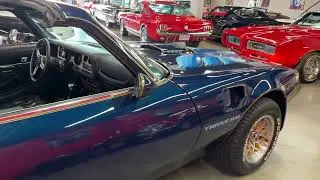 1979 Pontiac Trans Am T Tops 6.6 Liter for Sale www.hollywoodmotorsusa.com