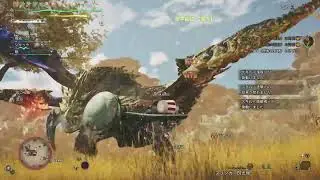 初めてのモンハンワイルズ(HR600越えてるが) #41