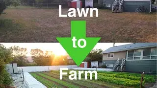How I Turn Suburban Yards Into Profitable Urban Farms And Make A Fortune!