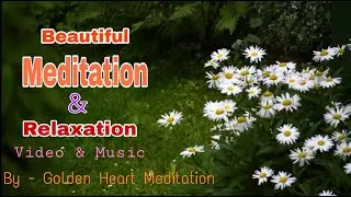 Golden Heart Meditation, Meditation and Relaxation,Stress relief, calming videos, Relaxing Videos,