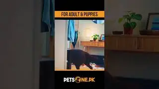 Procan Dog Food