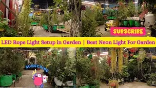 Best LED Rope Light For Terrace Garden | Neon Light For Terrace Garden