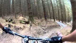 Whinlatter 2013 - Happy Days Section - Red Trail