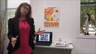 Trichologist Brisbane Healthiest Hair Seminar Feb
