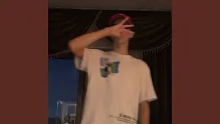 Last Ninja
