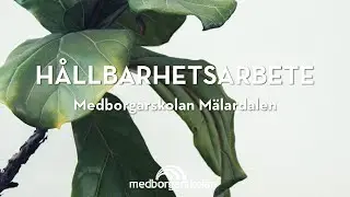 Medborgarskolan M&auml;lardalen Milj&ouml;film