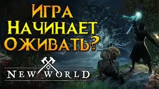 Возвращение после появления арены New World MMORPG