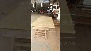 Large CHENGAL Wood Slab #chengal #woodslab