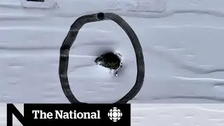 Investigation into RCMP shooting at firehall during N.S. manhunt