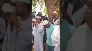 الشيخ محمد الشيخ الغزالي .....ابدا اراكم ...