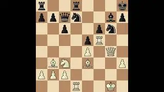 Gottfried Reinhardt vs. Alexander Bisno, 1950