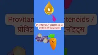 Night Blindness Explained | The Role of Vitamin A (Retinol) & Rod Cells in Vision!