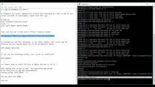 A CGI Vulnerability http proxy on Nginx