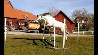 Loosejumping Bugatti