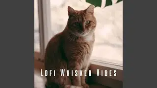 Paws and Chill Tunes