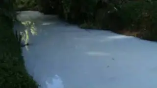 chemical spill in the prospect river