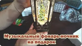 Обзор покупок с маркетплейса: музыкальный фонарь-ночник, чехол и защитное стекло на смартфон, семена