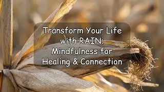 Transform Your Life with RAIN: Mindfulness for Healing & Connection