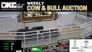 Oklahoma Cow & Bull Trade Opens the Week LIVE | OKC West Livestock Market | Jan 12, 2026
