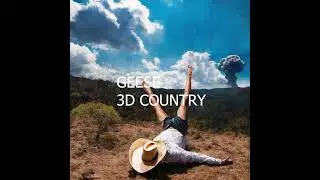 Geese - 3D Country (Karaoke with Backing Vocals)