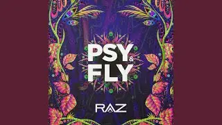 Psy & Fly