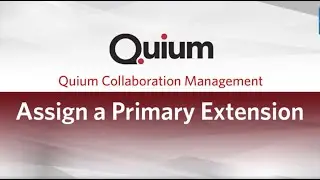 Assign A Primary Extension