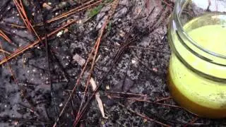 How to dissolve concrete! Muratic Acid Hydrocloric Acid