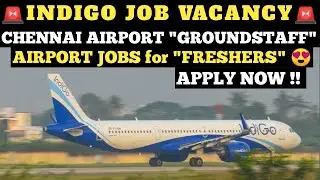 INDIGO VACANCY CHENNAI ! APPLY NOW ! | GROUNDSTAFF JOBS | INDIGO JOBS | Tamil Aviation |