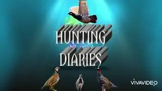 Quail hunting in pakistan 2021, 2022