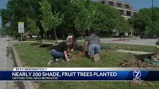 Community plants nearly 200 trees