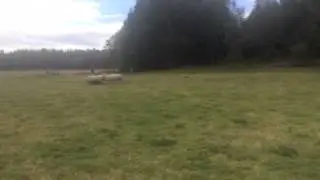 Skjerming