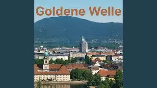 In meinen Kreisen