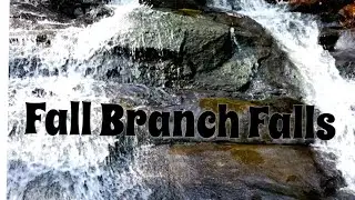 Fall Branch Falls