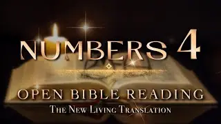 Openbiblereading &ndash; Numbers Chapter 4 (The Reading) NLT